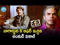 Ankur Vikal Offers Nagarjuna A Deal Kedi Telugu Movie Scenes Mamtha Mohandas Brahmanandam