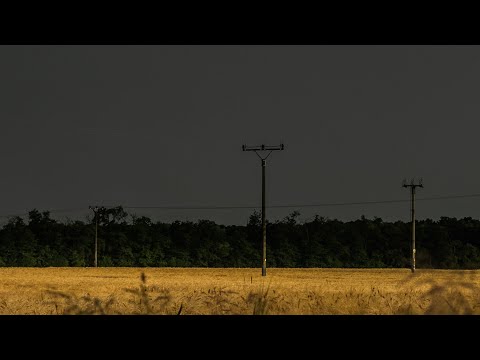 Thunderstorm Over Wheat Field | Calm Before the Storm | 3 HOURS