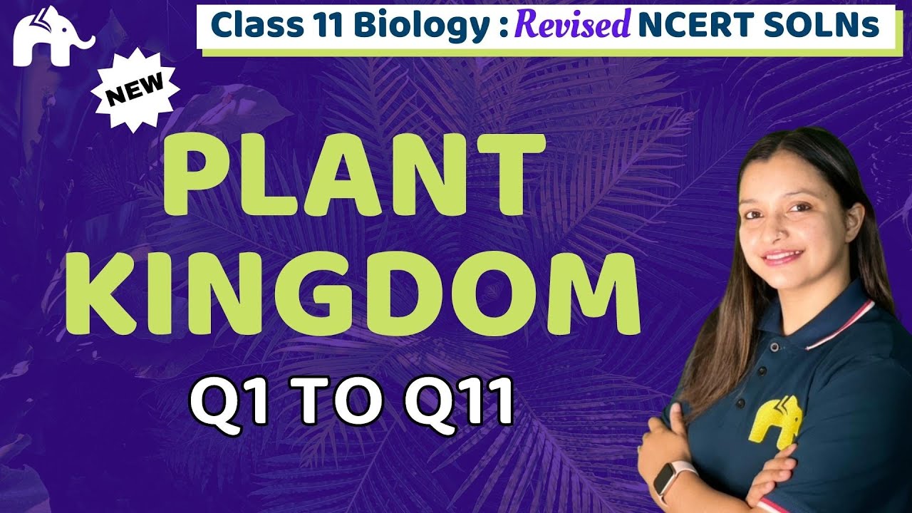 Plant Kingdom Class 11 Biology | Revised NCERT Solutions | Chapter 3 Questions 1-11