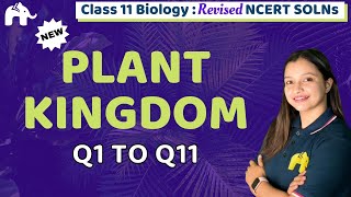 Plant Kingdom Class 11 Biology | Revised NCERT Solutions | Chapter 3 Questions 1-11
