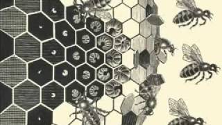 Trialogue #14: Grass Roots Science (Terence McKenna, R. Sheldrake, R. Abraham) [FULL]