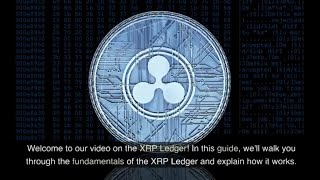 XRP Ledger Explained: A Beginner's Guide to Understanding the Fundamentals