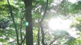 Max Richter - "Horizon Variations" (piano cover)