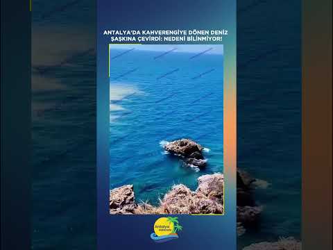 Antalya'da kahverengiye dönen deniz şaşkına çevirdi: Nedeni bilinmiyor!