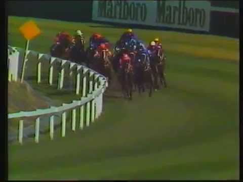 1977 Golden Slipper - Luskin Star
