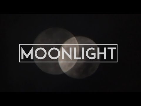 MEADOWS - MOONLIGHT (OFFICIAL VIDEO)