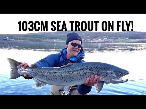 Coastal Fly Fishing | 103cm Sea Trout On Fly! | Meritaimenen perhokalastusta Norjan vuonoilla