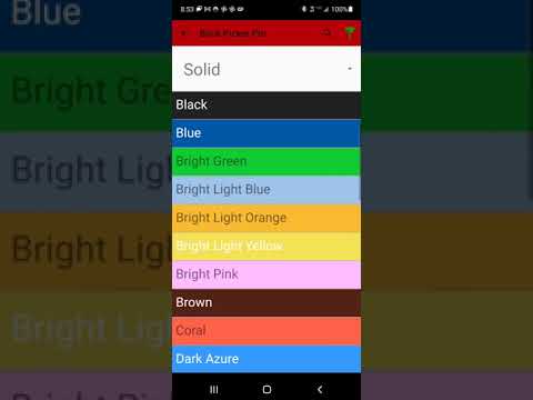 Brick Picker Professional Video