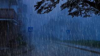 Chuva para Dormir Profundamente - Barulho de Chuva Forte, Tempestade, Trovão #65 Sleep Rain Sounds
