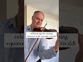 Vivaldi Spring fragment from The Four Seasons for Violin #shorts