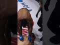 Mansour Barnaoui Rear-Naked Choke Submission! ? #shorts #bellator296