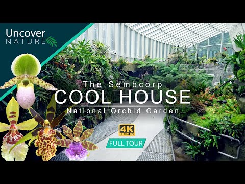 Sembcorp Cool House | National Orchid Garden - Singapore 4K