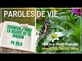 Ps 26 8 Seigneur J Aime La Beauté De Ta Maison