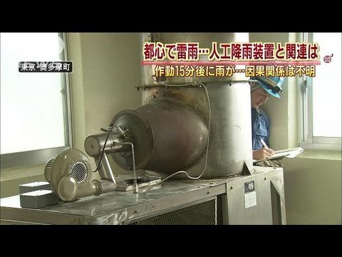 雨が果樹に与える影響 高い水分飽和はすべての作物に病気を引き起こす