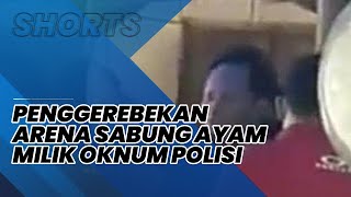 Viral Detik-detik Penggebrekan Arena Judi Sabung Ayam Milik Polisi, Pelaku Beralasan Gaji Kurang