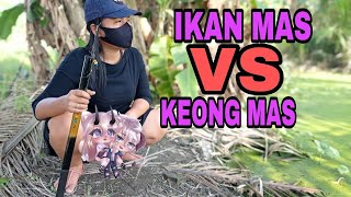 Download lagu MANCING AMBYAR ~  MANCING CANTIK ~ LADY FISHING - MANCING IKAN BETOK DI RAWA BERLUMUT TEBAL mp3