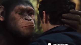 Download lagu O lun ta char mp3 Download lagu O lun ta char mp3