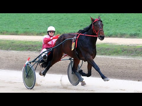 Kasačke trke Sombor - 7. trka - "Državno prvenstvo za grla od 2. godine”  - 23.10.2022.