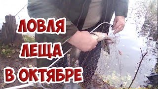 Ссылка