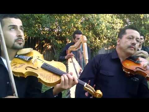 Ojitos de capulin con arpa y violín