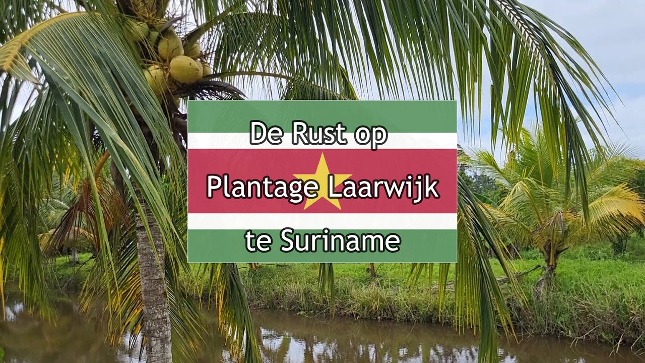 De Rust van Plantage Laarwijk – Natuur en Geschiedenis in Suriname