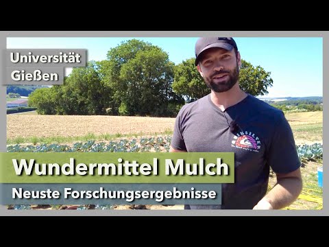 Wundermittel Mulch - Neuste Forschungsergebnisse | Universität Gießen | Rundgang 1 | 2021