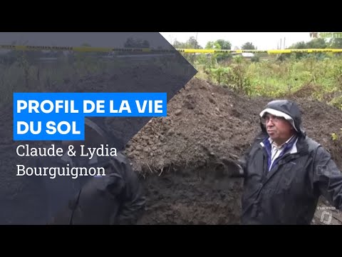 Claude & Lydia Bourguignon - profil de la vie du sol @Vietbienetre