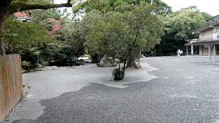 preview picture of video 'ISE JINGU (Ise Shrine) No.1'