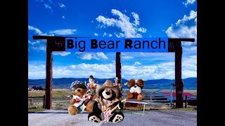 In my next life - Cover - Bobby Bear & The Texas Teddybears