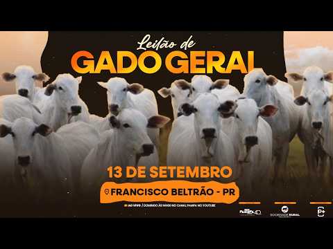 Leilão de Gado Geral, FRANCISCO BELTRÃO/PR - 13/09/2026 14:00h