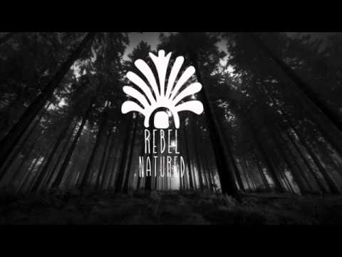 Roger Sanchez feat. stealth - remember me (Hidden kids remix)