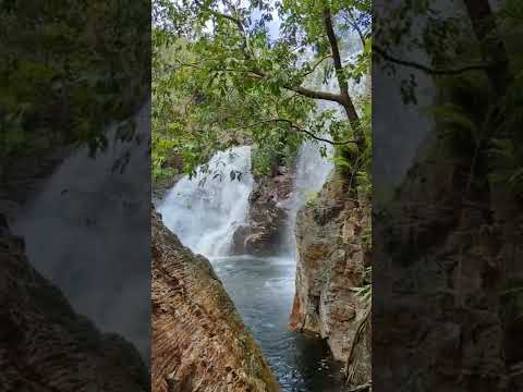 Avaliações do passeio pelo Parque Nacional de Litchfield/Acesso/Horário de funcionamento｜Darwin