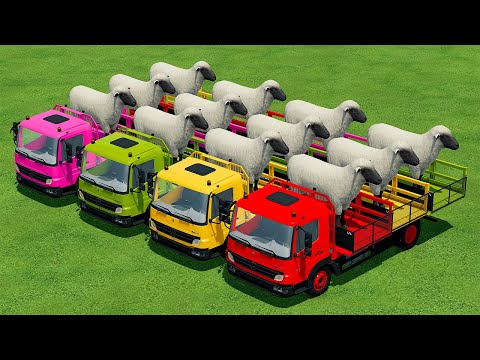 LOAD AND TRANSPORT SHEEPS WITH MERCEDES MINI TRUCKS - Farming Simulator 22