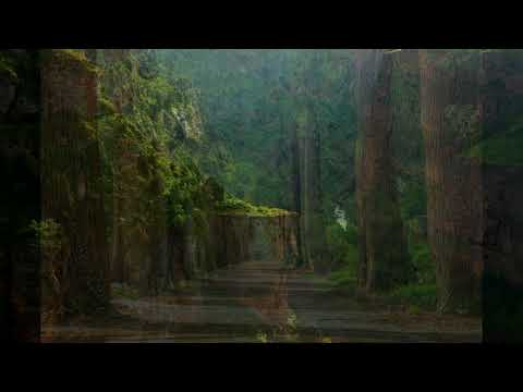 How I attract a text message or WhatsApp from a specific person (Eric Ho)