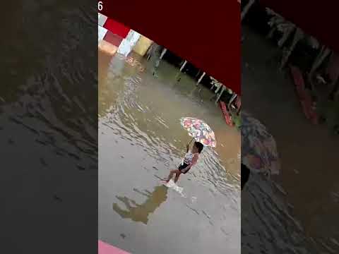 Amazon Unfiltered - After the rain - Canutama