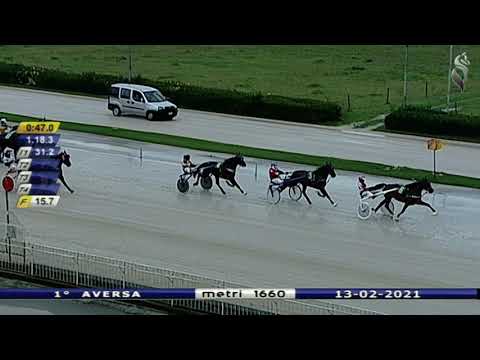 Aversa trotto 13 Febbraio 2021 - 1° Corsa