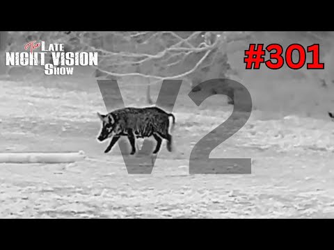 Ep. 301 | AGM Rattler V2 TS25-384 and TS35-384 Thermal Rifle Scope Review