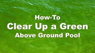 Clearing Up a Green Above Ground Pool (Step-by-Step)