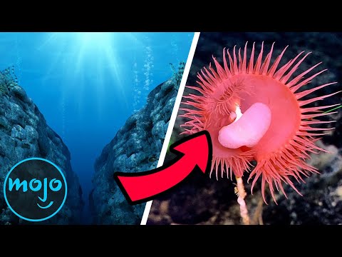 十大幾乎沒有被探索過的地方 (Top 10 Places That Have Barely Been Explored)