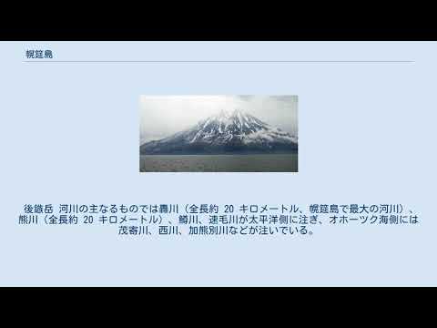 パラムシ科 - 定義