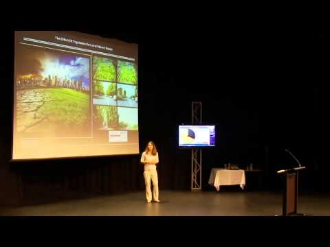 2013 Deakin University - Three Minute Thesis (3MT) - Elmira Jamei