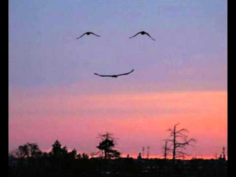 Video thumbnail for What You Lying For ?