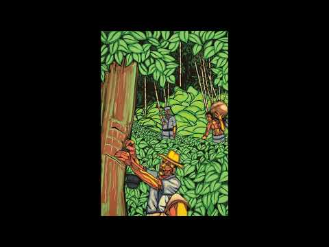 La vorágine: selva, dolor y tragedia (Segunda parte)