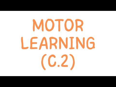 IB Sports Science- Motor Learning Process (C.2.1) and (C.2.2)