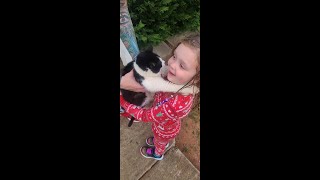 Meadow tells the story of her cat that died... #lostmykitty #catshorts #catvideos