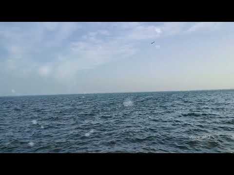 Orkhan Zeynalli ft. Aisel - Səma @AISEL @orkhanzeynalli #azerbaijan