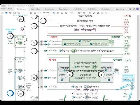 הרב יואל חקון - ישיבה תשפ״ו - נענועים - שיעור 05 - הקדמה - קצר.