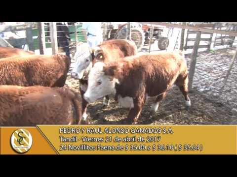 21-04-17 Venta de Nov. y Vaq. - Pedro y Raul Alonso Ganados S.A. - Tandil.