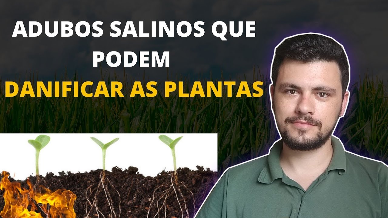 Adubos salinos que podem danificar as plantas I índice salino de adubos