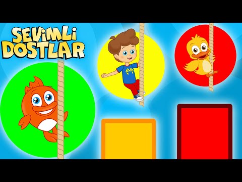 İ Harfi - ABC Alfabe 📚 | Harfleri Öğreniyorum | Bebek ve Çocuk Şarkıları 2024 | Sevimli Dostlar